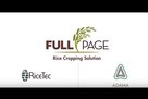 fullpage rice cropping solution thumbnail