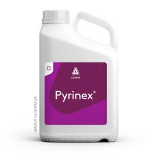 Embalagem Pyrinex