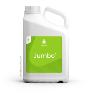 Embalagem de 5 litros de Jumbo
