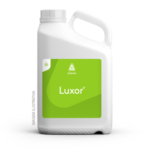 Embalagem ilustrativa do herbicida Luxor