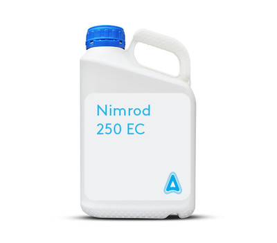 Nimrod-250-EC.jpg