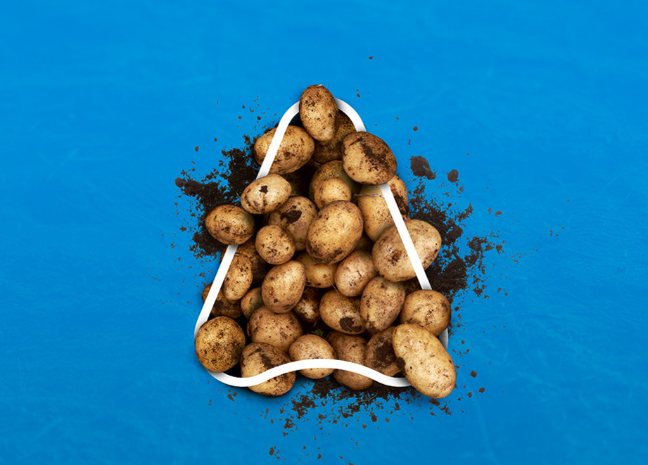Potato Solutions