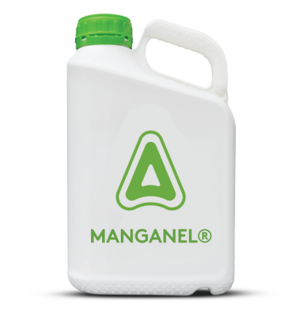 Manganel