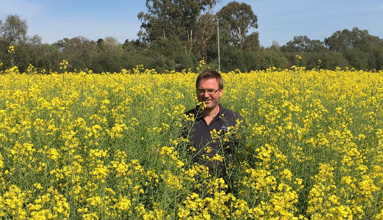 Glenn Dyason, Senior Agronomist at Coolamon in Southern New South Wales
