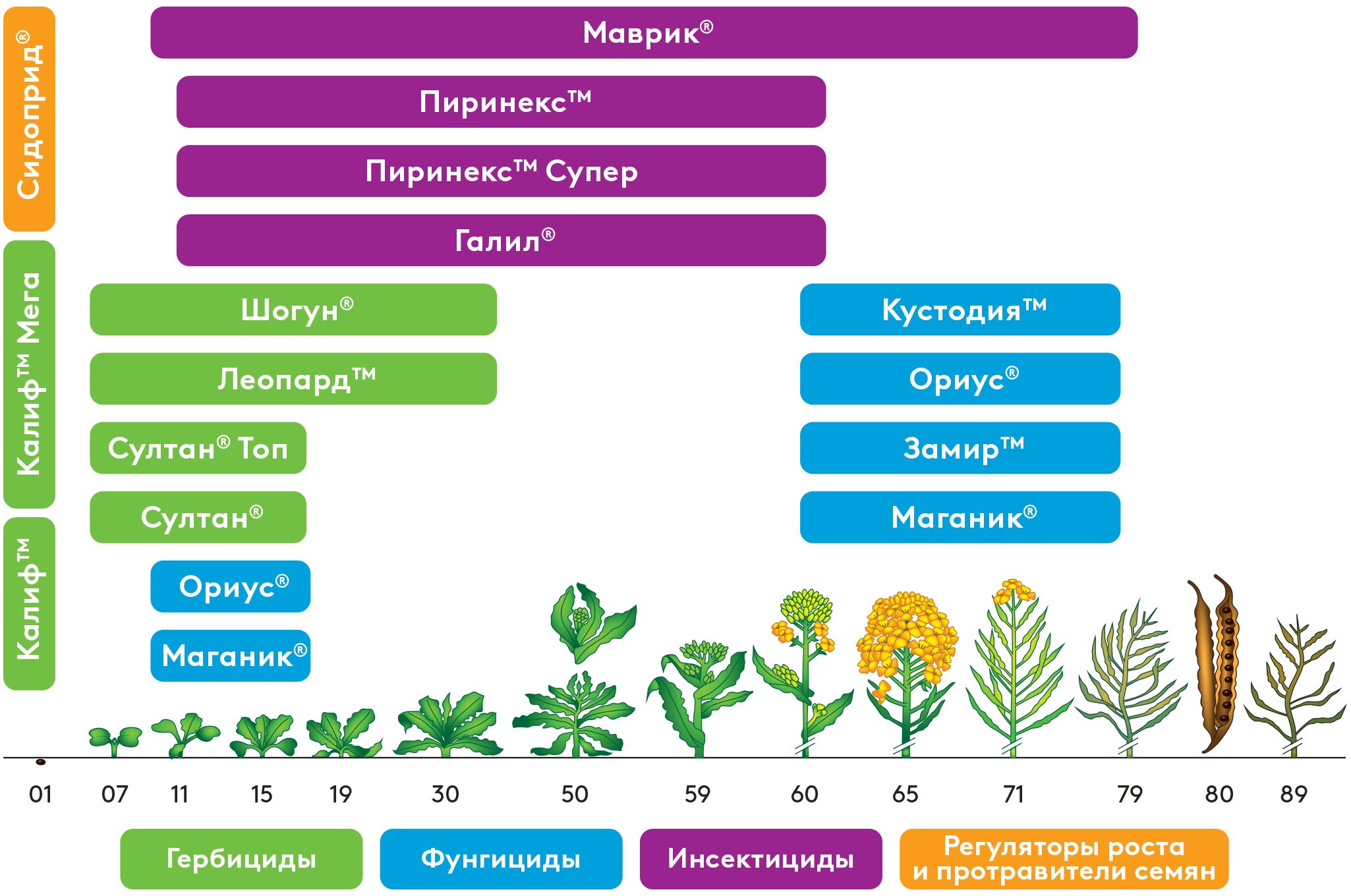 Схема защиты рапса ярового