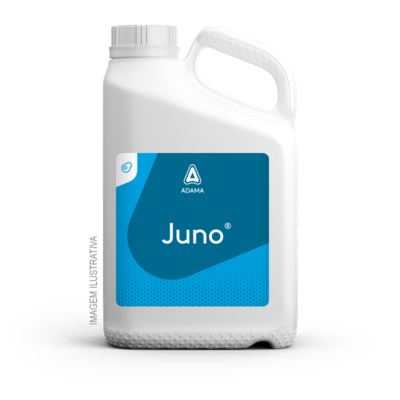 Embalagem Juno