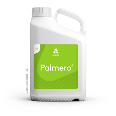 Embalagem de 5 litros de Palmero