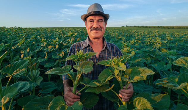 Adama Farmer in field Tabaco