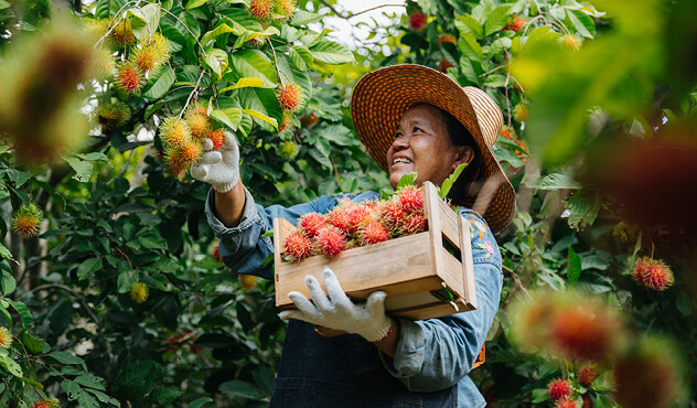 Adama Farmer