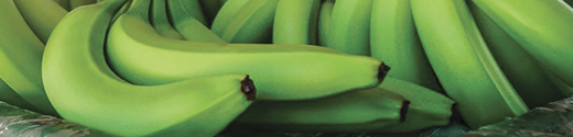 ADAMA Cultivo Banano