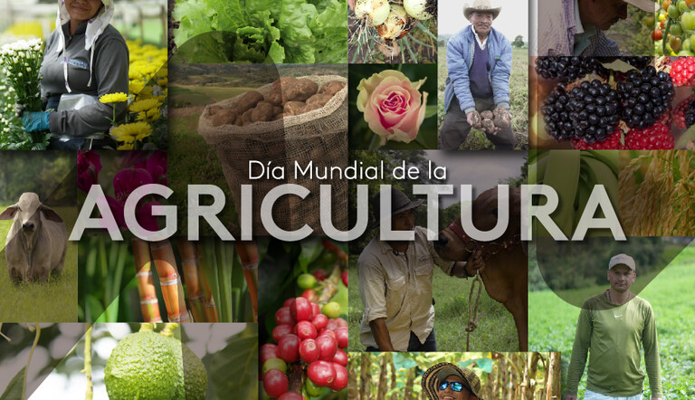 Día mundial de la Agricultura