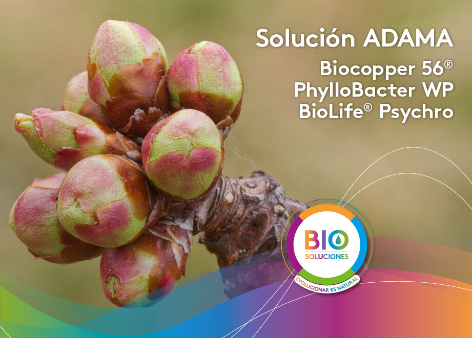 BioSoluciones