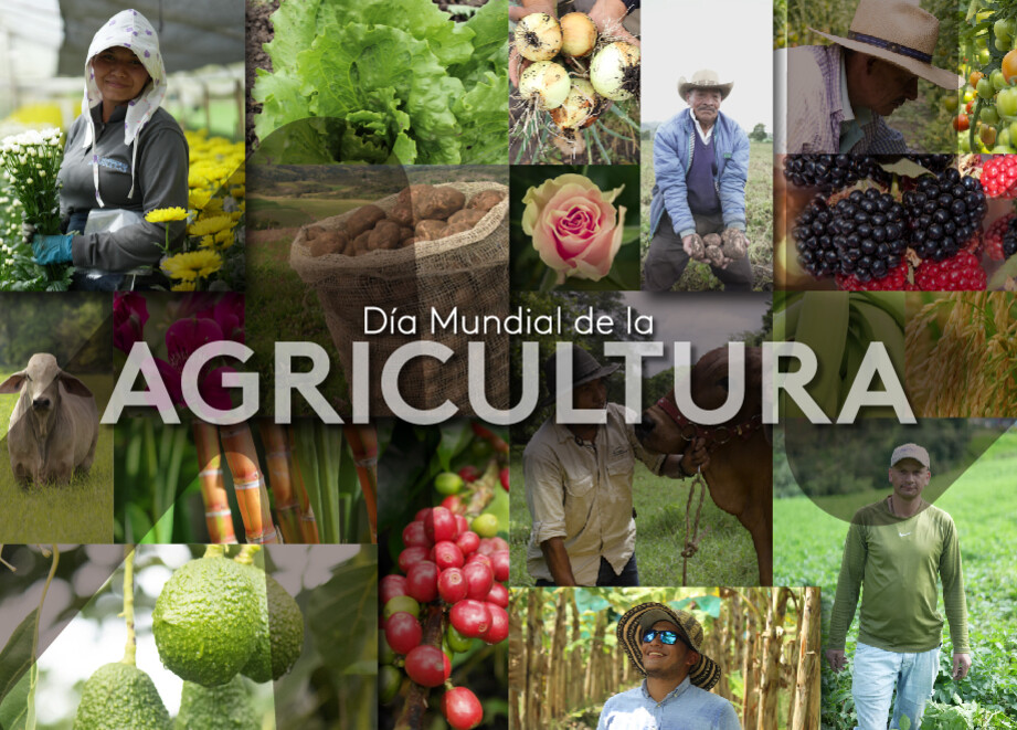 Día mundial de la Agricultura