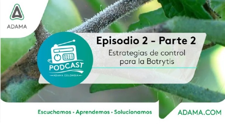 podcast episodio 2 parte2