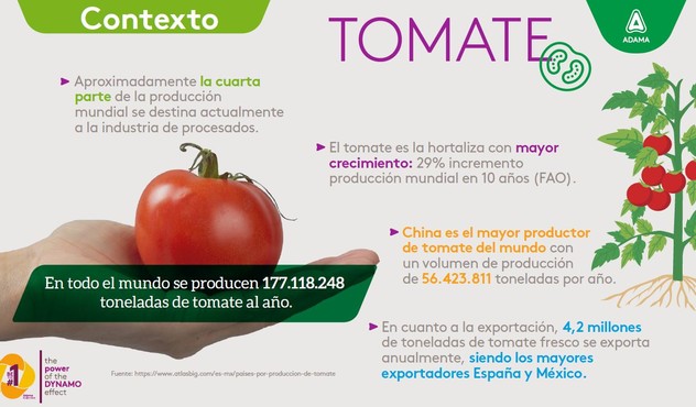 importancia del tomate