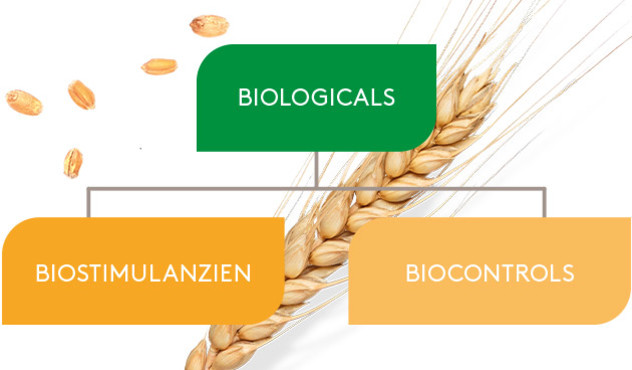 Biologicals - Biostimulanzien - Biocontrols