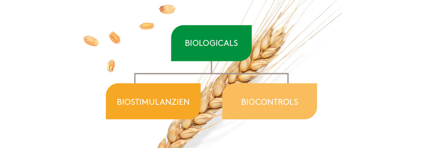 Produkte Biologicals - Biostimulanzien - Biocontrols