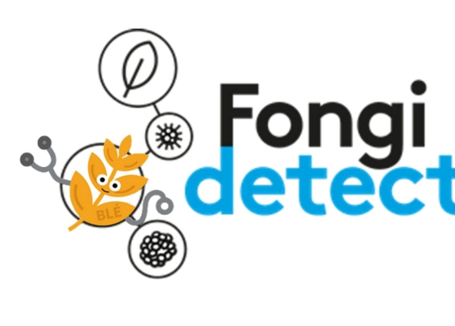 Logo FongiDetect Blé