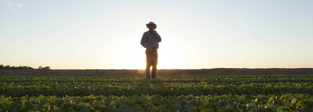 farmer in the field