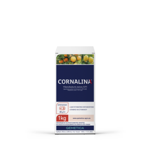 cornalina