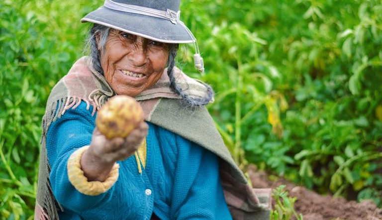 Farmer holding potato 