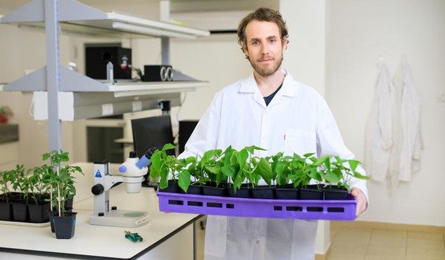 Scientist holding plants 