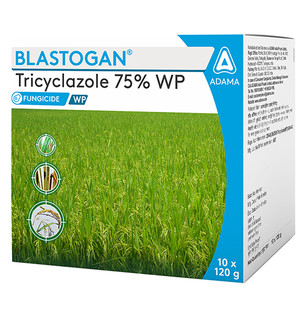 Blastogan Package