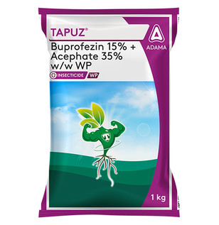Tapuz Package