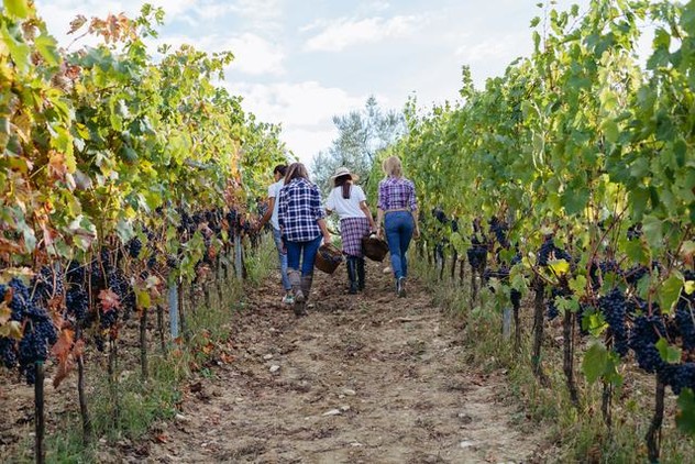 Agricoltori in campo tra le vigne