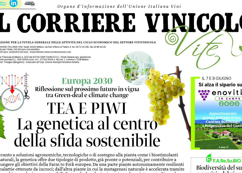 Il Corriere Vinicolo offerto da Adama Italia