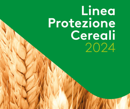 Cover Linea Protezione Cereali Adama Italia 2024