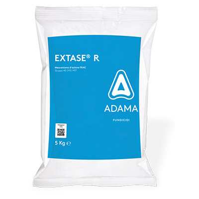 EXTASE-R pack da 5kg