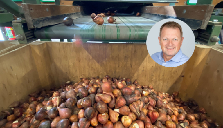 Blog Tips fusarium tulp