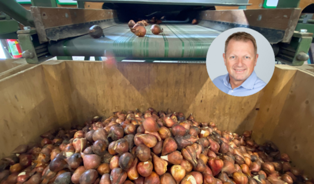 Blog Tips fusarium tulp