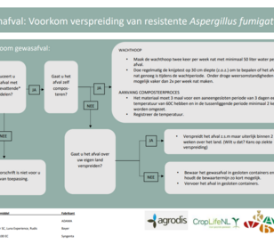 Protocol voorkom resistente Aspergillus fumigatus