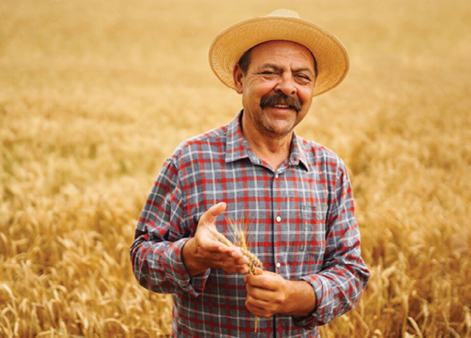 Farmer in Wheat field