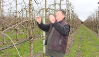 Orchardist Mark Mudgway