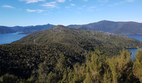 View over Blackwood Bay in the Marlborough Sounds