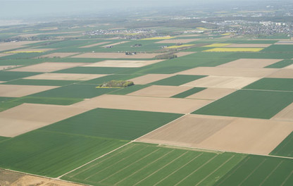 Ackerbauflächen Luftbild