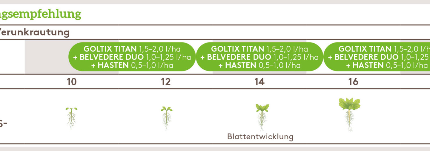 Anwendungsempfehlung Goltix Titan und Belvedere Duo