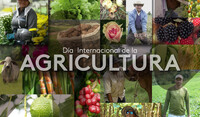 Día Internacional de la AGRICULTURA