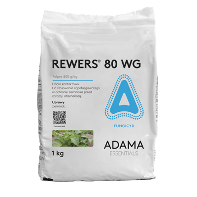 Rewers 80 WG