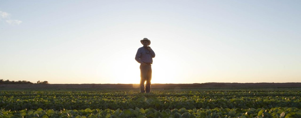 Campo do agricultor