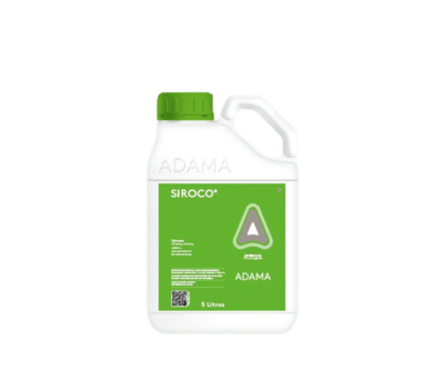 Sirocco product