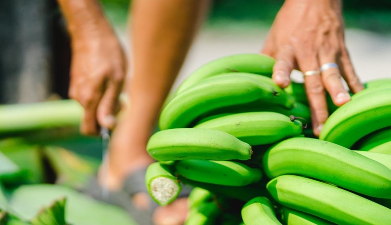 Bananas Up Close