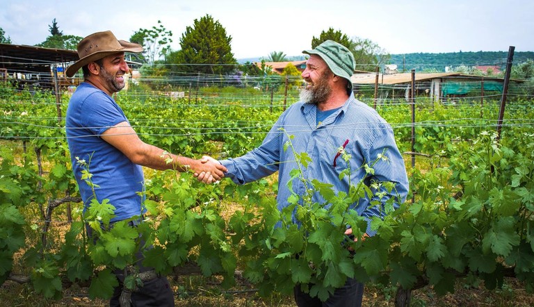 Farmers shake hands near the vineyards