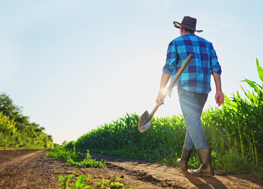 Farmer in the field 