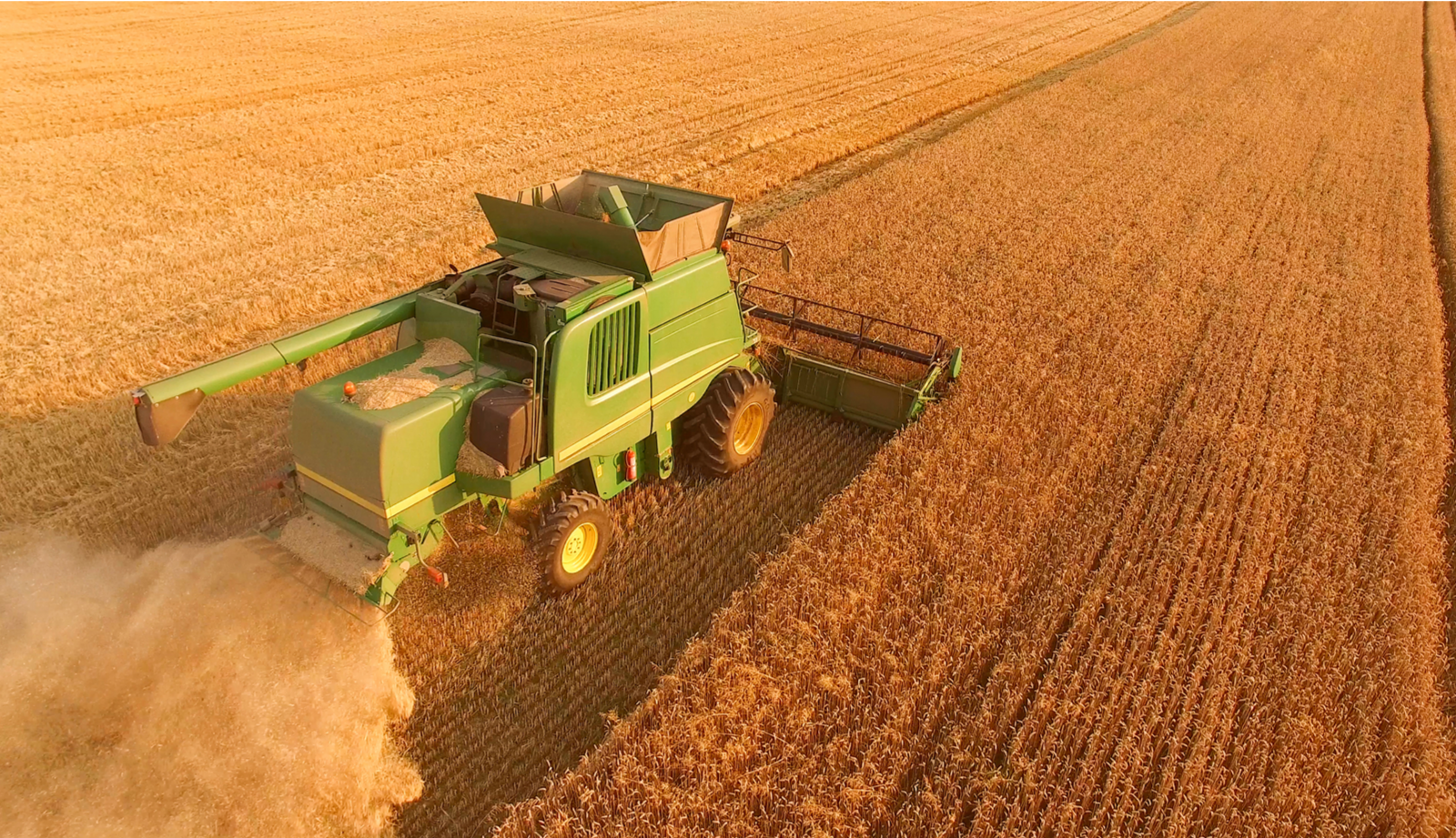Barley Crop Truck