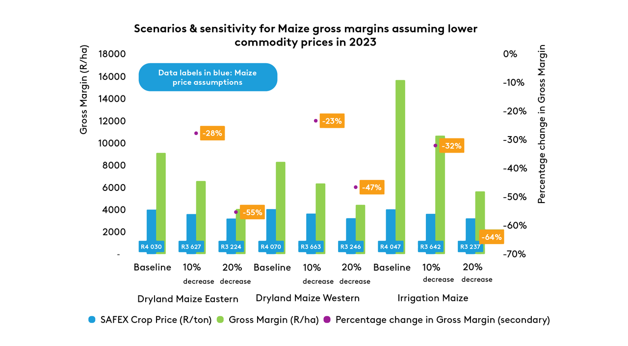 Scenarios & Sensitivity for Maize gross margins assuming lower commodity prices in 2023