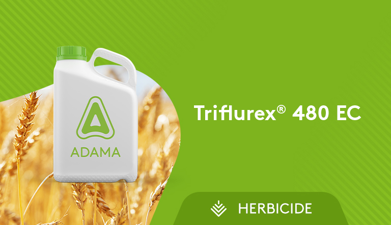 Triflurex 480 EC Herbicide